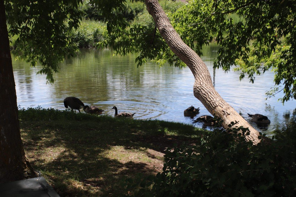 McCormick Park-米苏拉必去景点