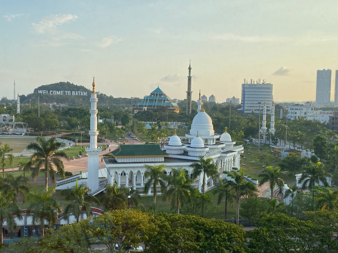 哈里斯酒店巴淡岛中心主图