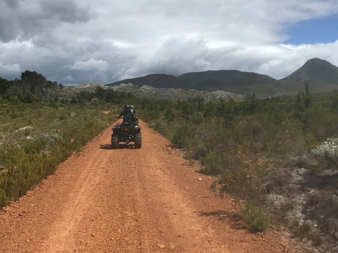 Cape Adventure Zone-开普敦中心区必去景点