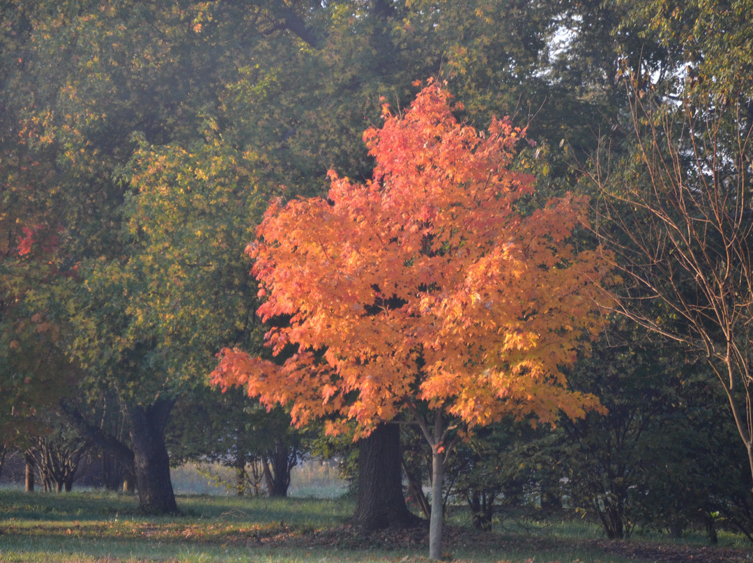 Neshaminy State Park景点图片