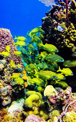 Piscina Natural La Catalina Cabrera-Cabrera必去景点
