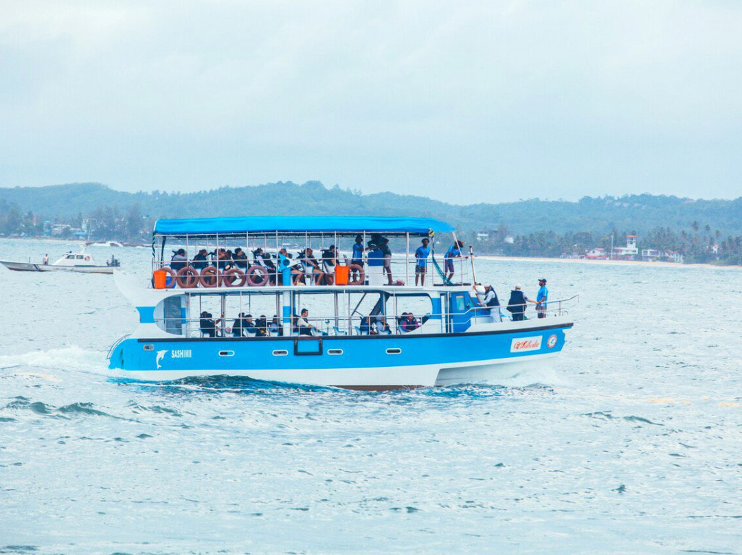 Nathalia Cruise-美蕊沙必去景点