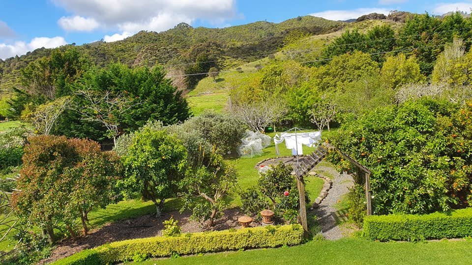 Jacaranda Lodge主图