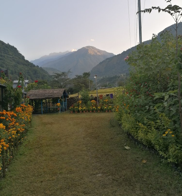 Roshani Guest House & Restaurant主图