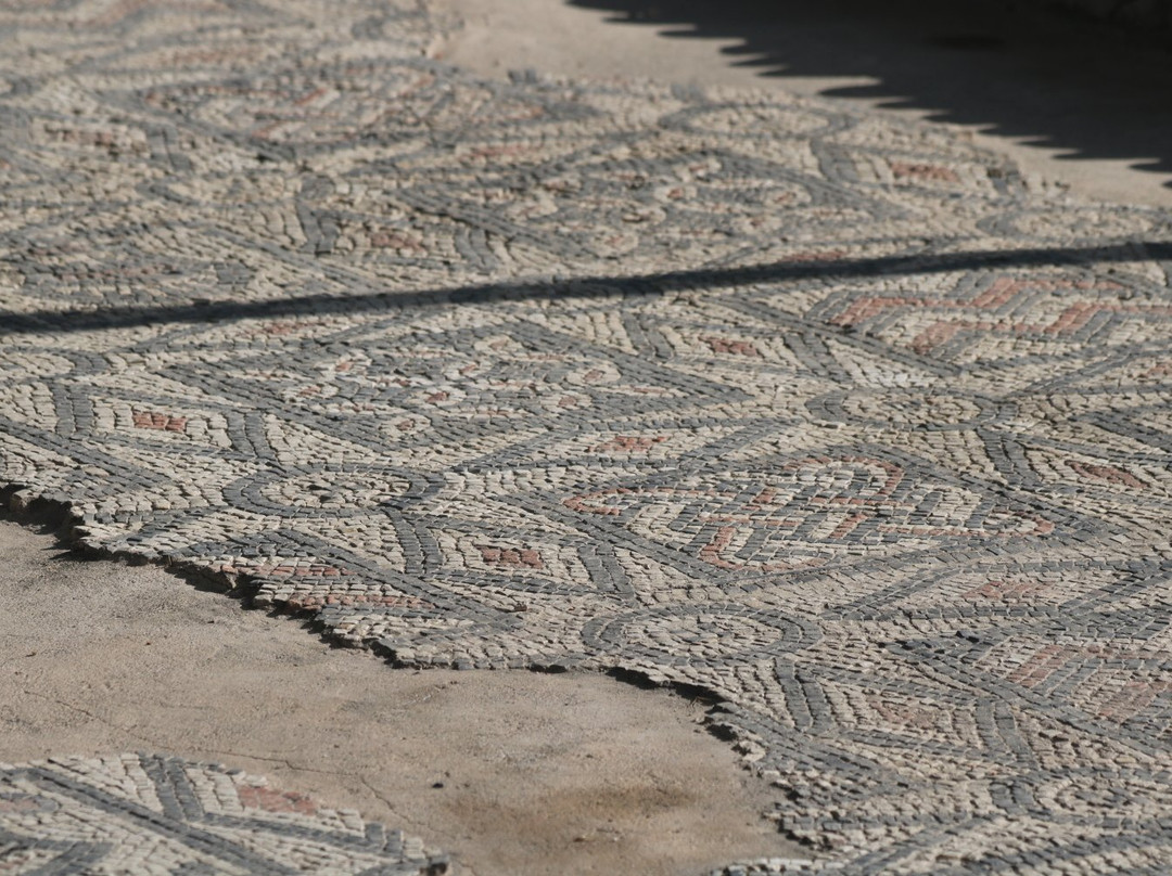 Archeological Site Palazzo Pignano景点图片