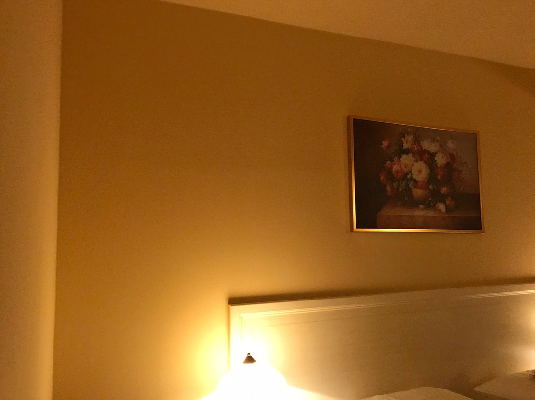 Spa Hotel Vita主图