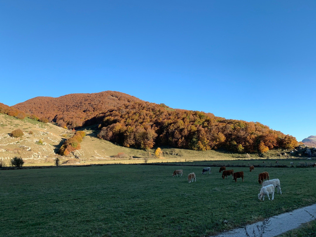 Parco Regionale Sirente Velino-Rocca di Mezzo必去景点
