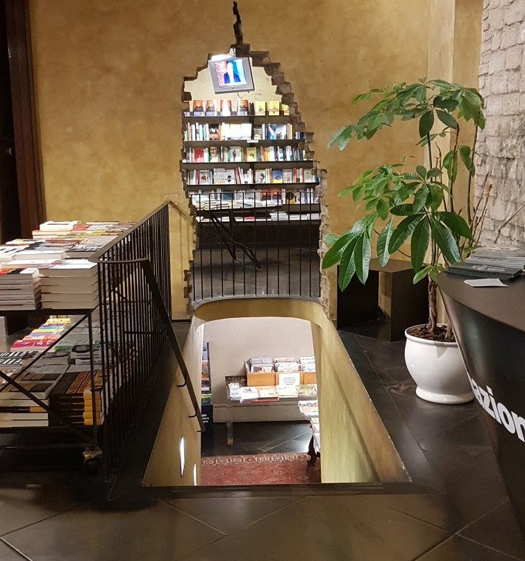 Libreria All'Arco景点图片