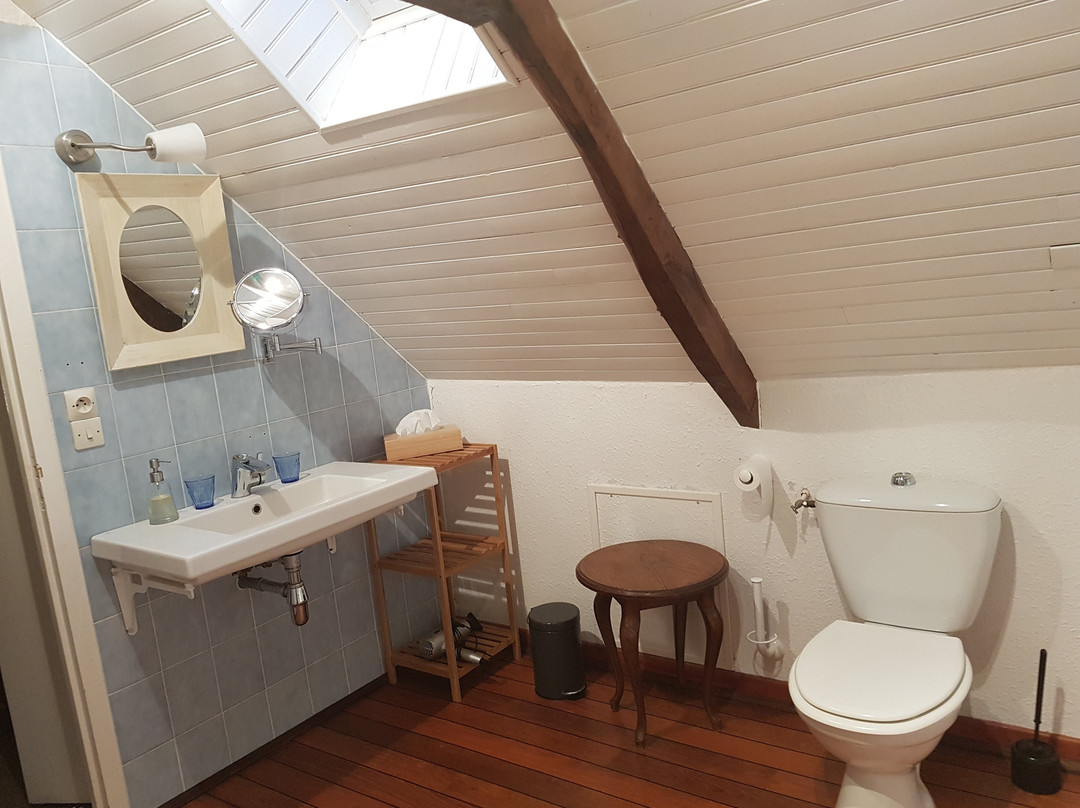 Hotel Le Manoir Saint Michel***主图