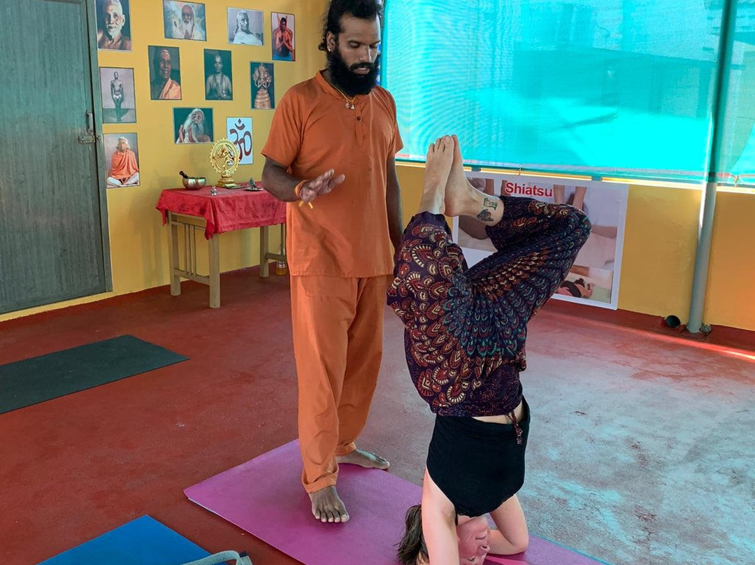 Namasthe Ayurvedic Mission景点图片