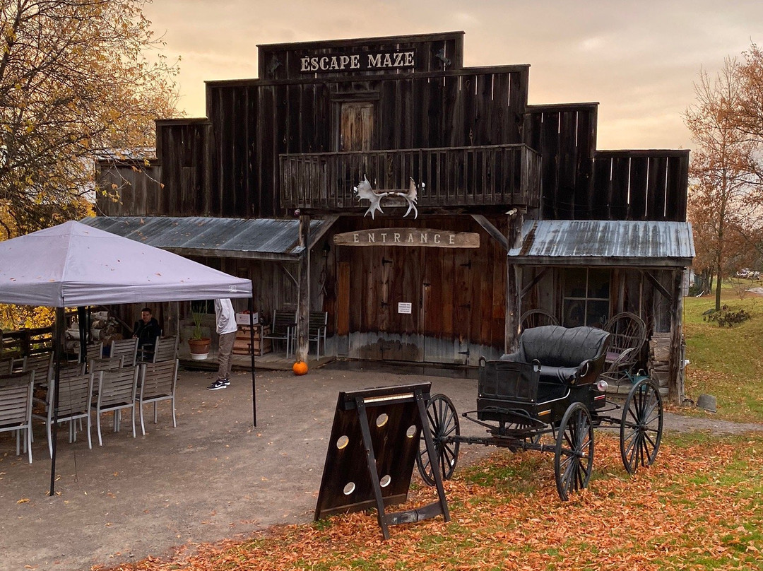 Escape Maze Incorporated-彼得伯勒必去景点