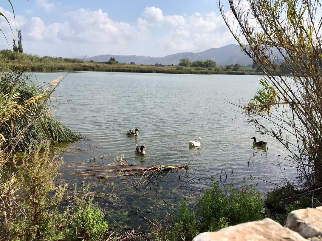 Lake Agias景点图片