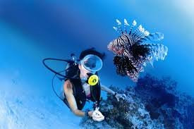 UnderwaterCuba景点图片
