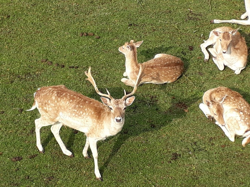 Bioparque Washington Rodriguez Piquinela-Durazno必去景点