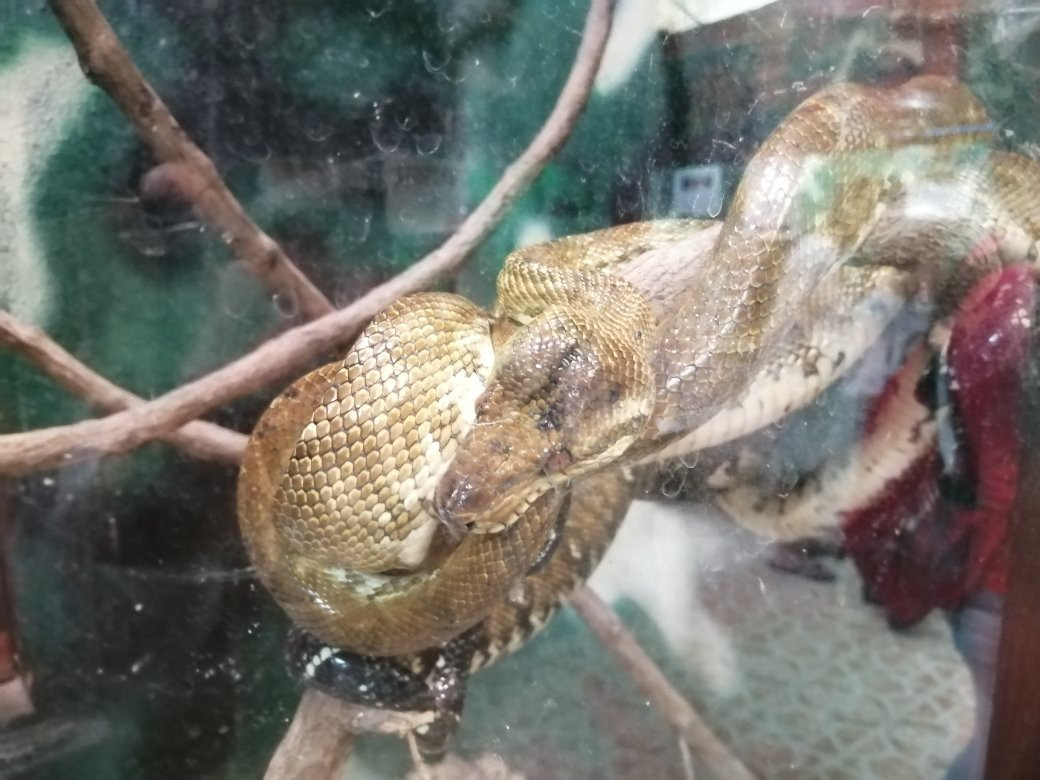 El Serpentario景点图片