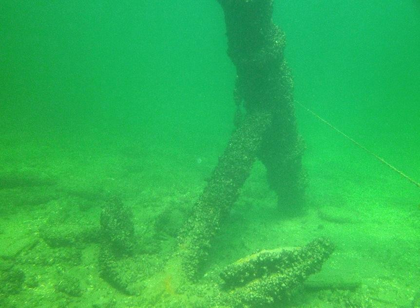 Explorer Diving景点图片