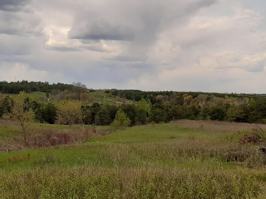 Countryside Preserve景点图片