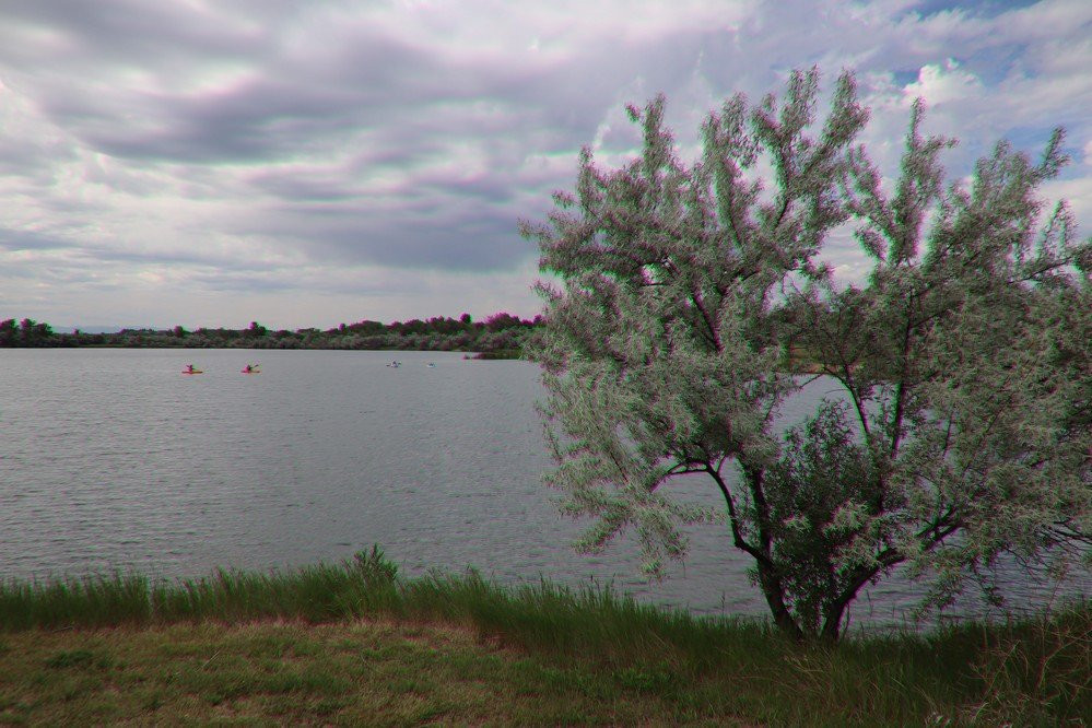 Lake Elmo State Park-比灵斯必去景点