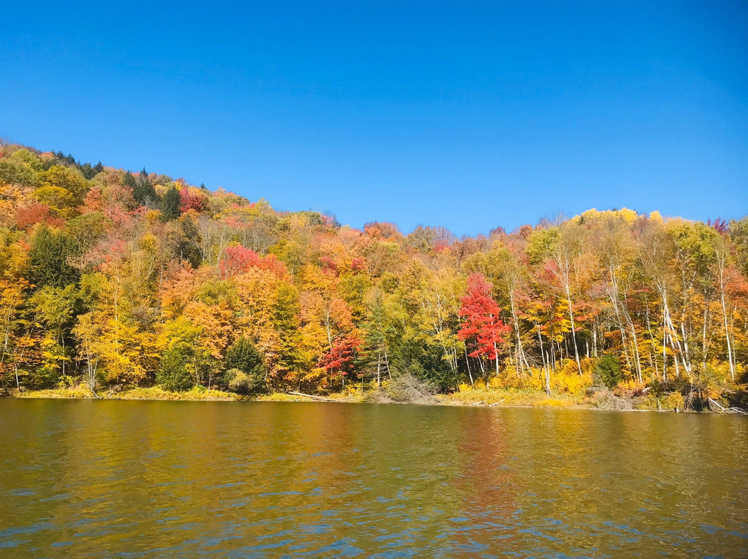 The Fly Rod Shop Fly Fishing Tours-斯托必去景点