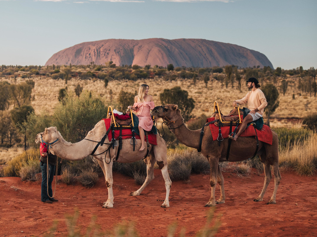 Uluru Camel Tours景点图片