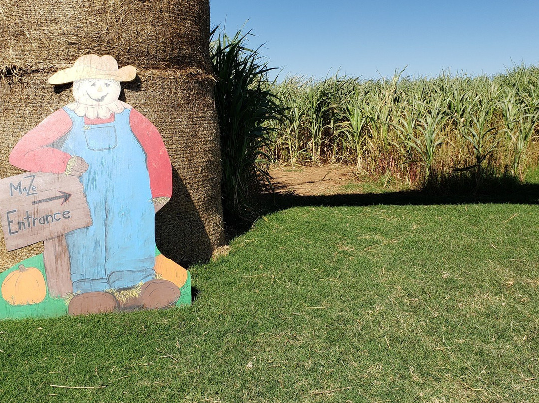 Daze in a Maze-Enid必去景点