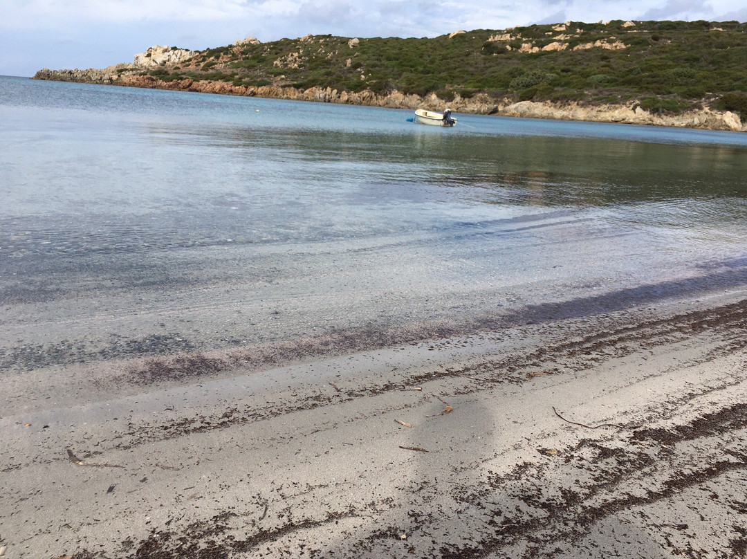 Spiaggia Lu Pultiddolu-圣特雷莎加卢拉必去景点
