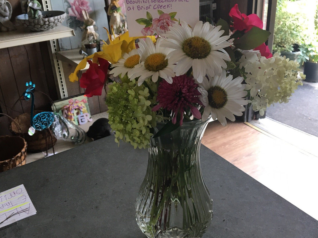 Nashville旅游景点-Briar Creek Nursery and Kidz Zone