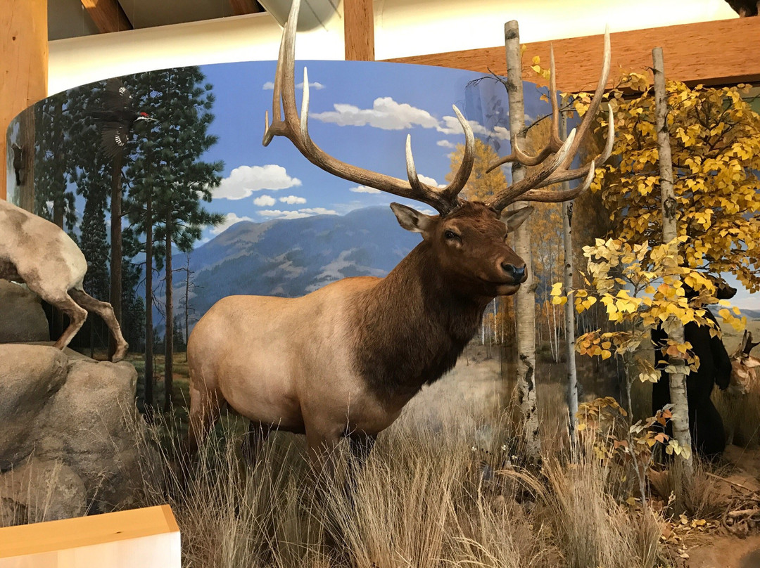Rocky Mountain Elk Foundation景点图片