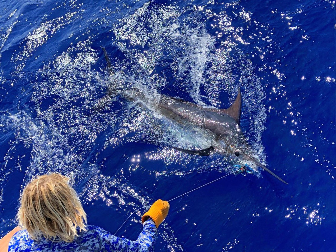 Nemesis Sport Fishing