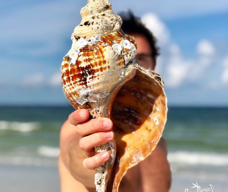 Reel Kind Fishing and Tours-Goodland必去景点