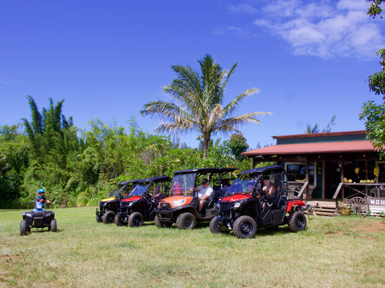 All About The View-夏威夷大岛必去景点
