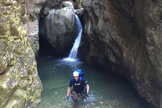 WildMedix-开普敦中心区必去景点