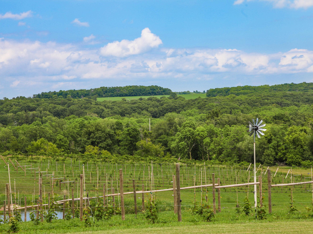 Browntown旅游景点-Hawk's Mill Winery