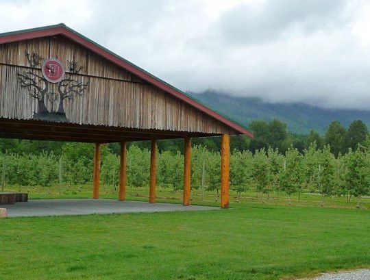 Eagle Haven Winery-Sedro Woolley必去景点