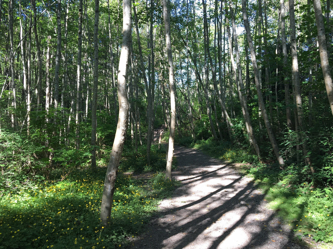 Narbeck Wetland Sanctuary Park景点图片