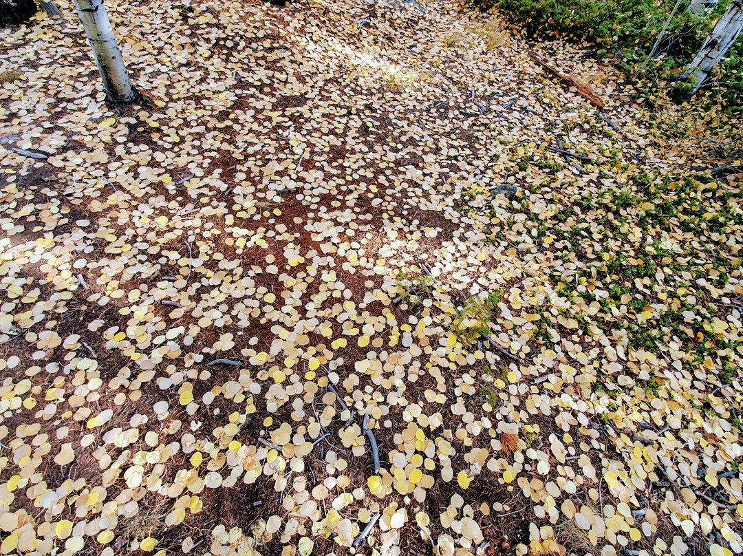 Twin Lakes-Leadville必去景点