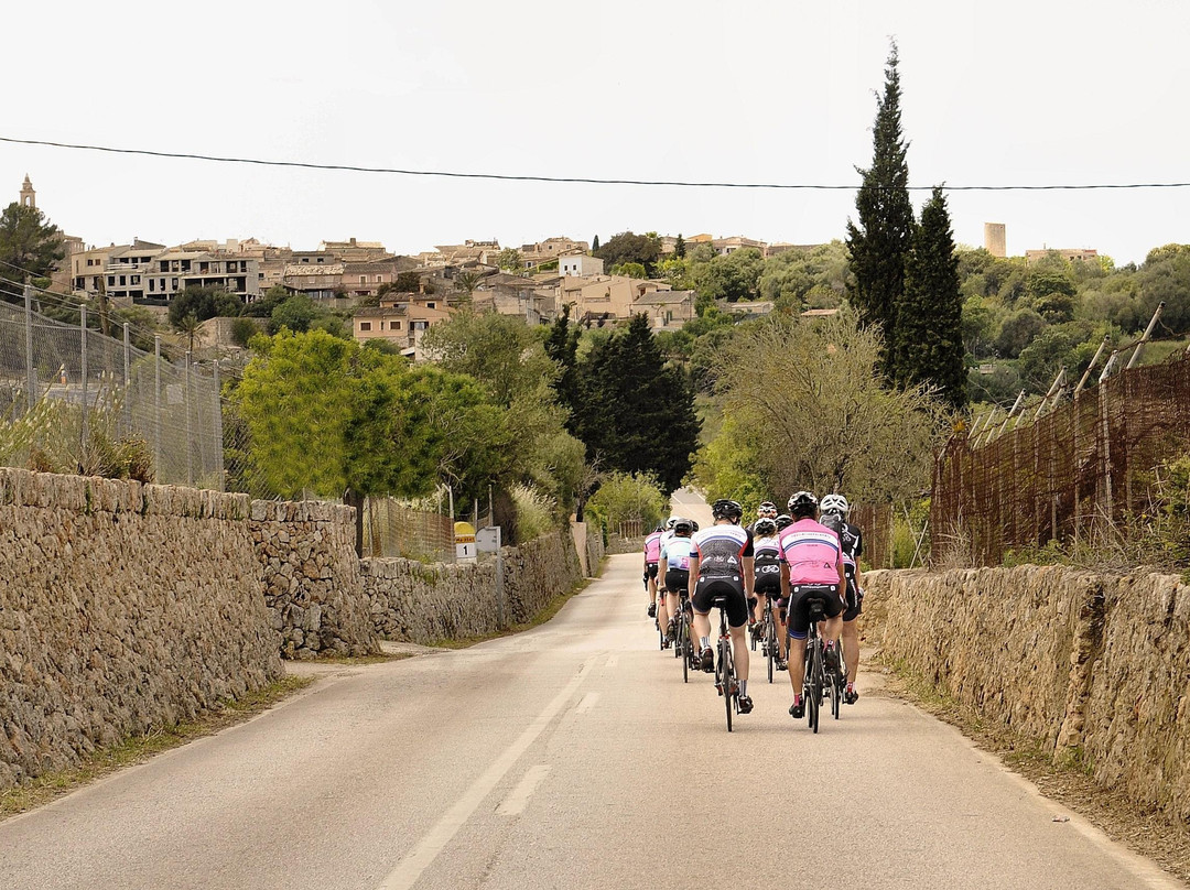 Rompelberg Cycling Holidays-帕尔马海滩必去景点