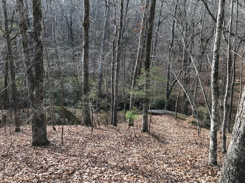 Battle of Hanging Rock Historic Site