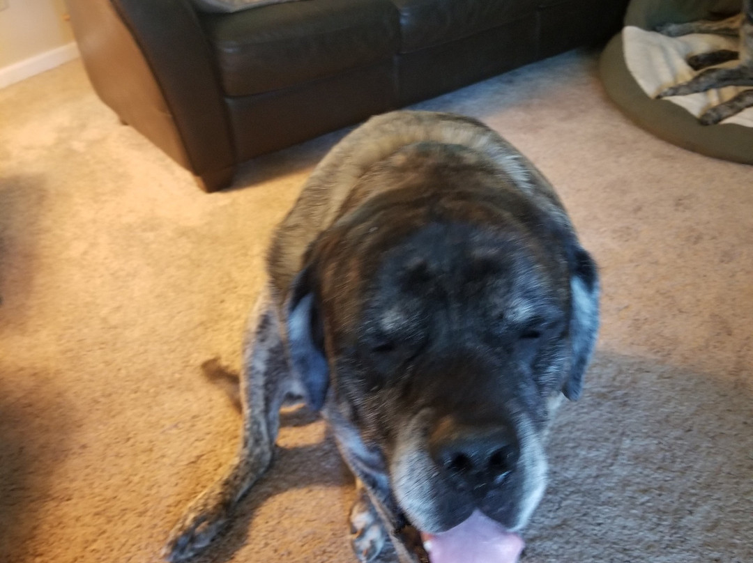 Tobacco Road Golf Club-Sanford必去景点