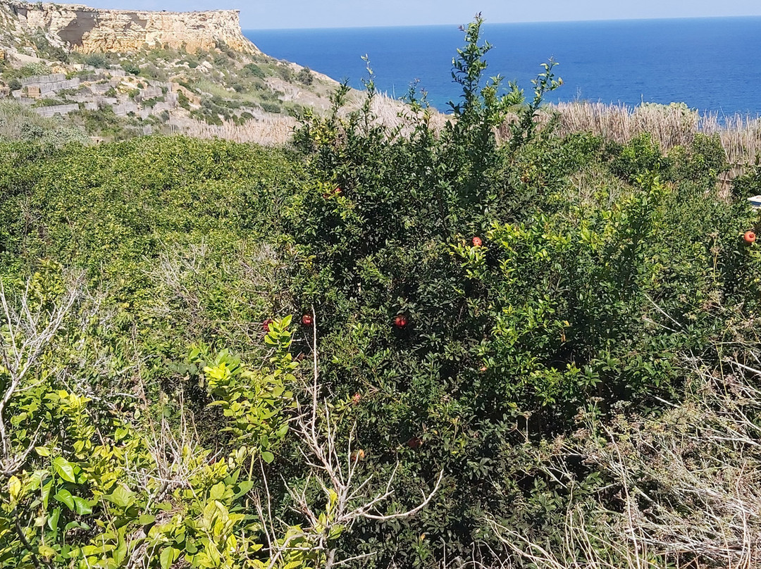San Blas beach-戈佐岛必去景点