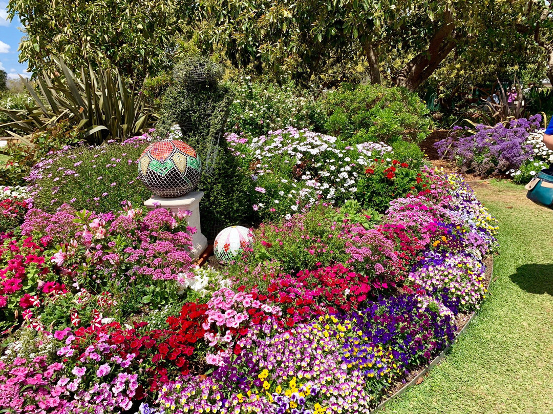 Palmer's Coaches & Tours-伯利角必去景点