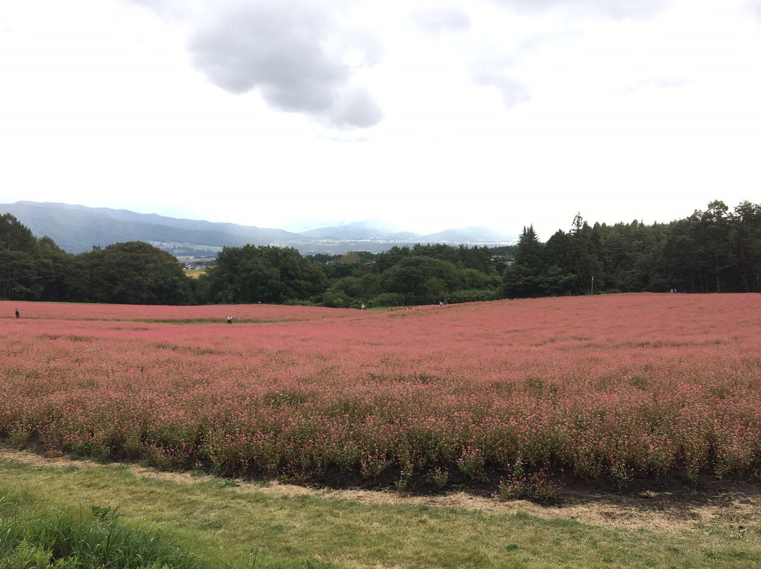 Akasoba no Sato-箕轮町必去景点