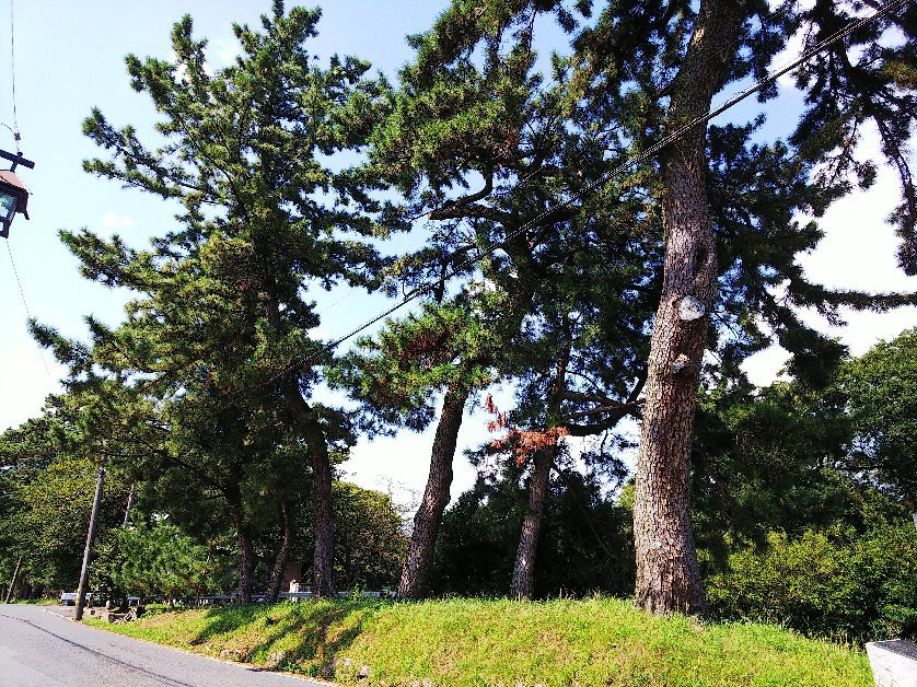 Goyu Street-丰川市必去景点