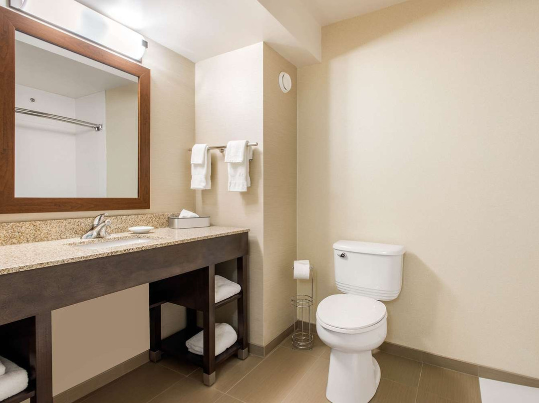 Comfort Inn & Suites Red Deer主图