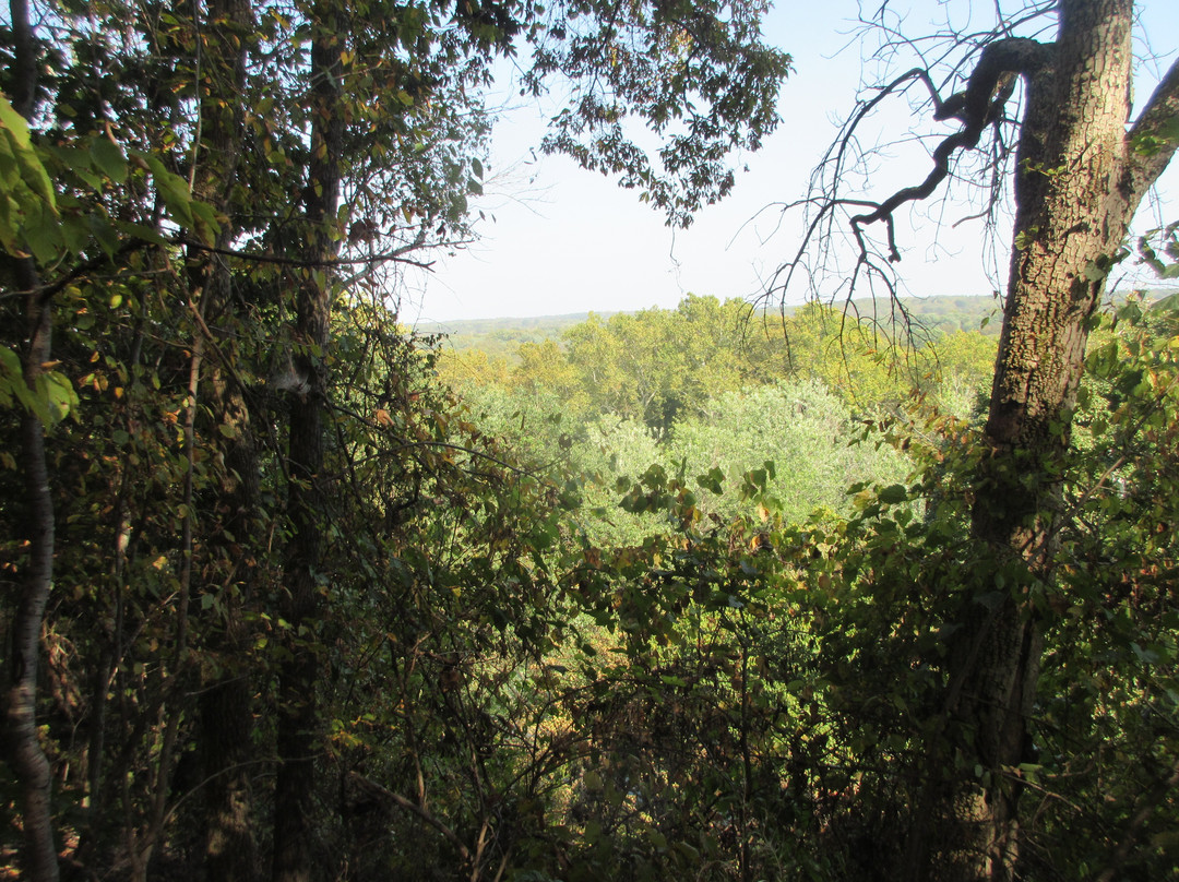 Ball's Bluff Battlefield Regional Park景点图片