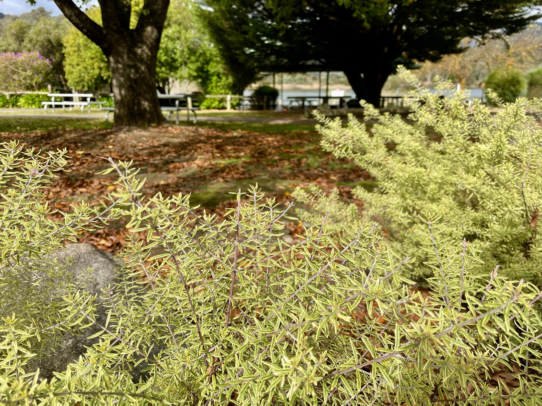 Lions Park Playground