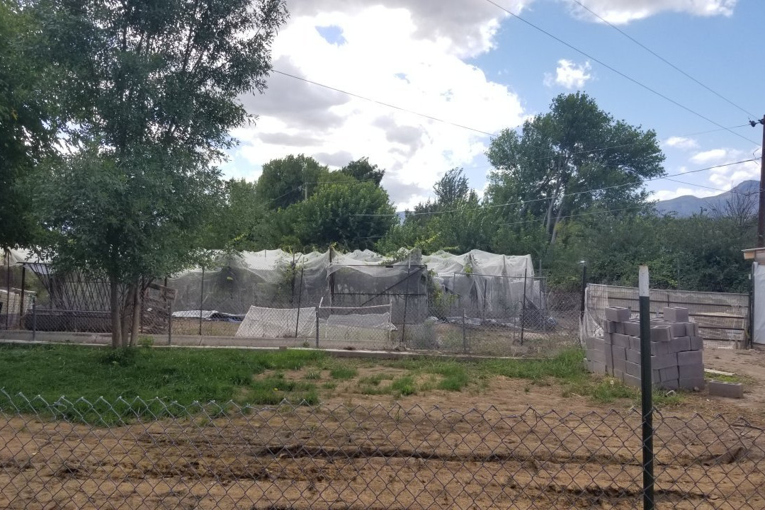 Clear Creek Vineyard & Winery景点图片