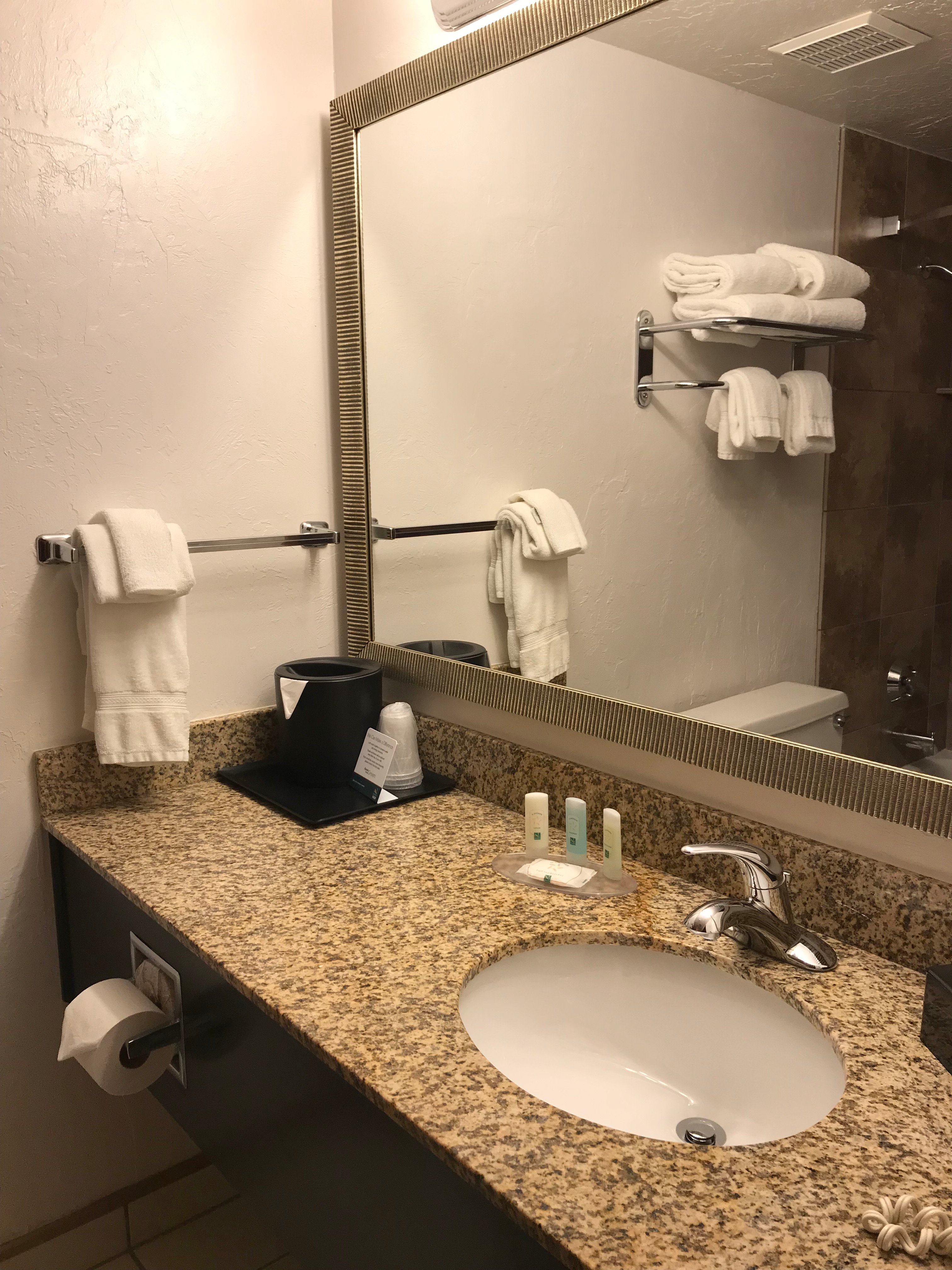 Quality Inn Vernal Near Dinosaur National Monument-浴室