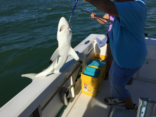 Reel-Ality Sportfishing Charters-迈尔斯堡海滩必去景点