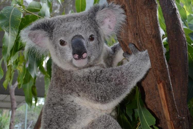 Happy Holiday Private Tours-岘港必去景点